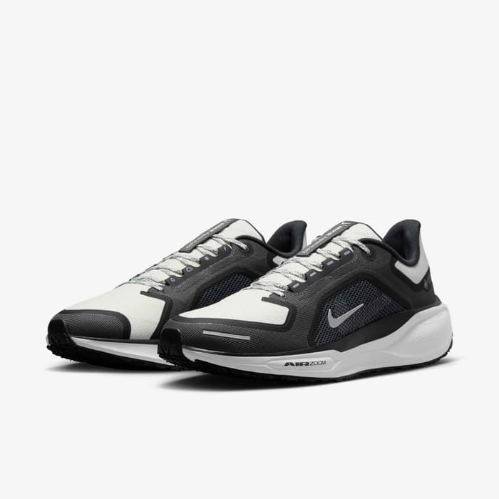 Nike Pegasus 41 GORE-TEX - Black/Anthracite/Iron Grey/Summit White